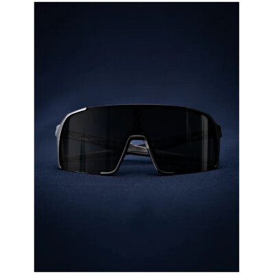 FLY VISION solbrille - sort/polariseret sort